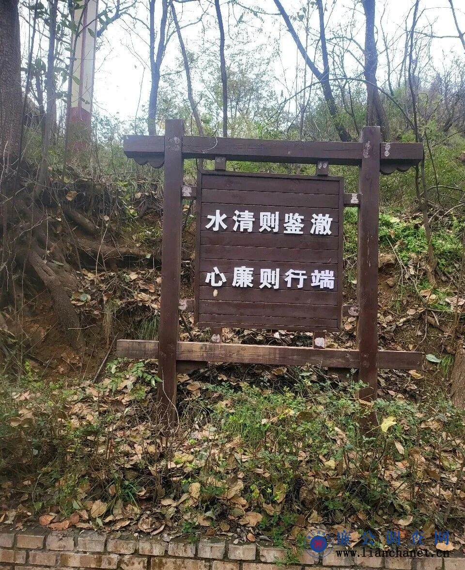 1762910648339103.jpg